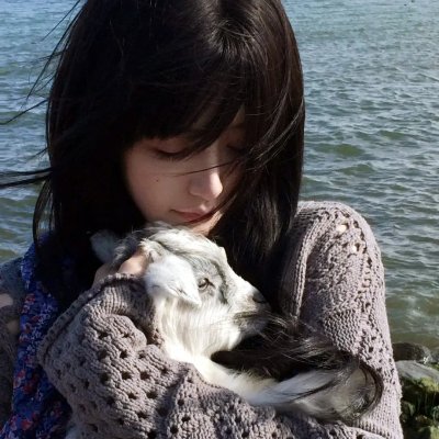 红翼